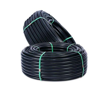 PE Sdr11 জল সরবরাহ Hdpe পাইপ রোল ISO9001 14001 45001 বড় আকার